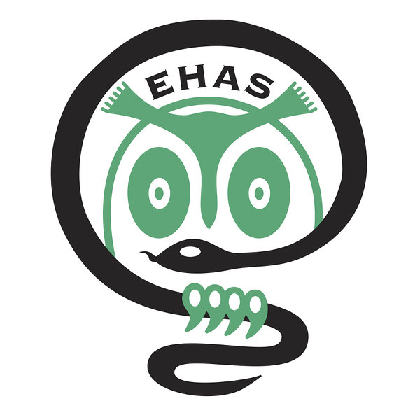 EHAS-logo-1_block.jpg
